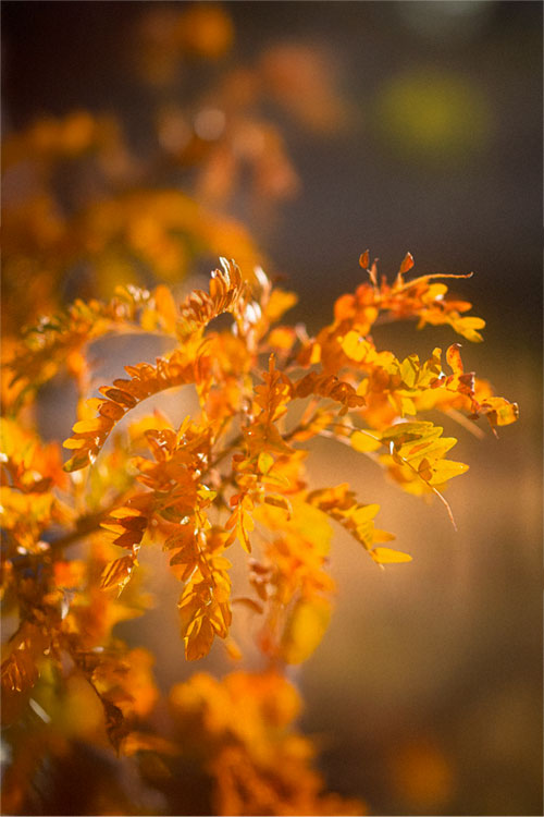 SeminarhausPartner.Blog - Haus des Monat Juli 2025: Akademie Biggesee