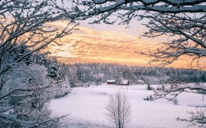 Verschneite Winterlandschaft mit ruhigen Häusern am Waldrand bei warmem Abendlicht – Sinnbild für Rückzug, Winterzauber und gemeinschaftlichen Jahresausklang.