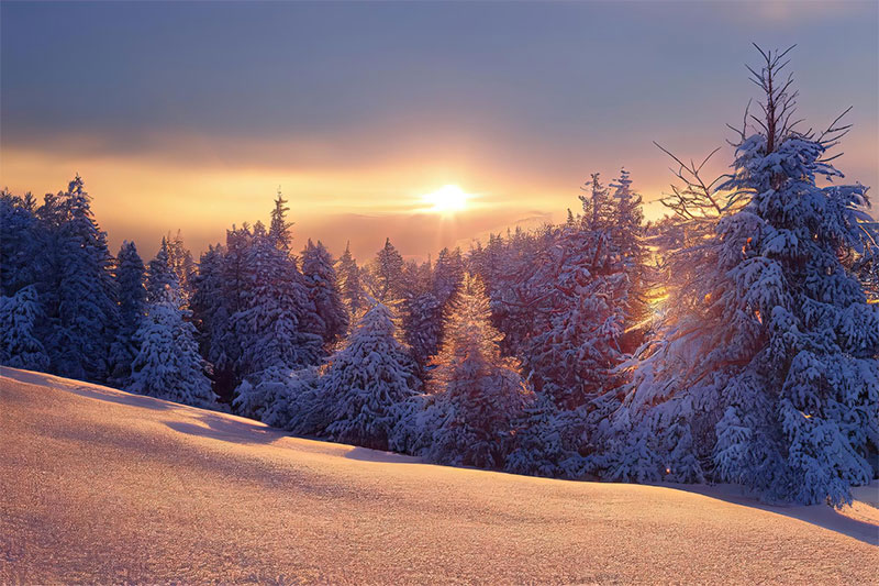 Winterlandschaft mit Schnee und gedämpftem Licht – Sinnbild für Rückzug, Sammlung, Innenschau