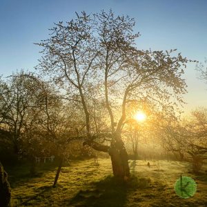 SeminarhausPartner.Blog - Nachhaltigkeit